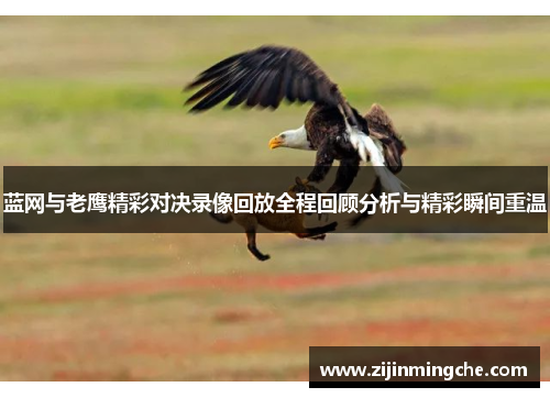 蓝网与老鹰精彩对决录像回放全程回顾分析与精彩瞬间重温