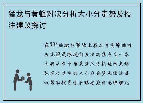 猛龙与黄蜂对决分析大小分走势及投注建议探讨