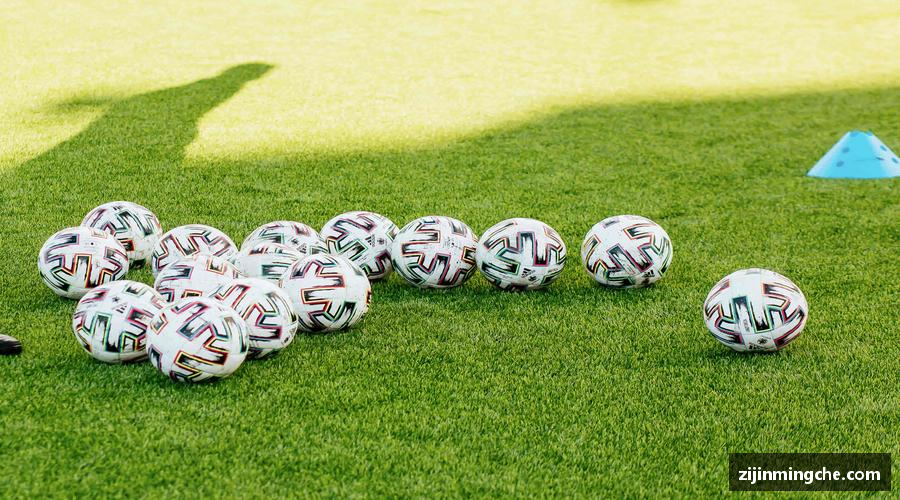 谈球吧app🎙️深度解读，冠军之路！🏆揭秘赛场背后的热血与汗水！